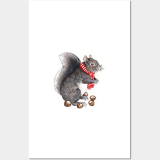 Grey Squirrel Posters and Art